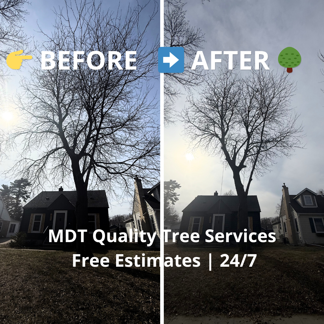 beforeafter1